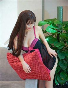 完美拍档